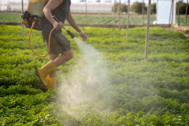 Best Affordable Pest Control Services  in Muncie, IN