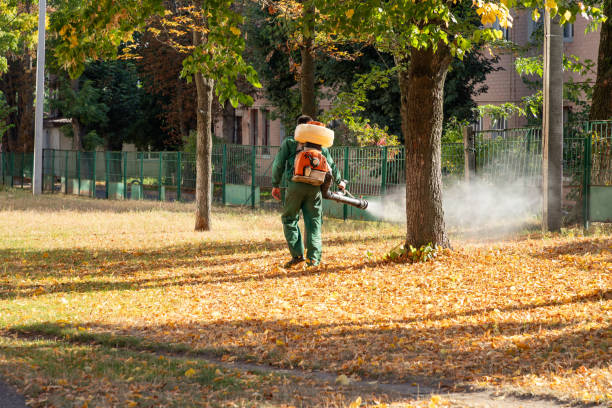 Best Affordable Pest Control Services  in Muncie, IN