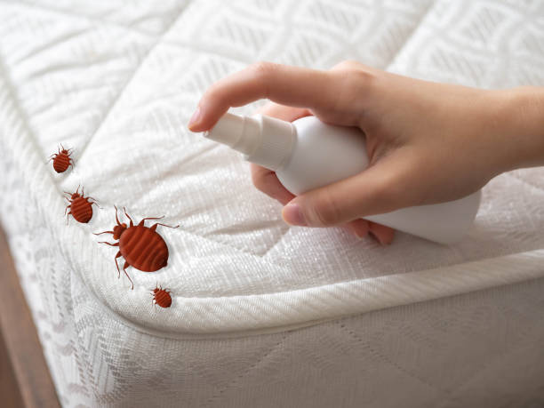 Best Pest Inspection Near Me  in Muncie, IN