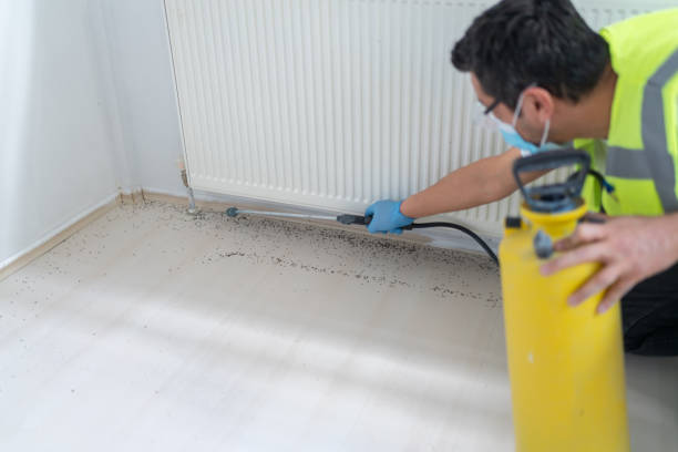 Best Commercial Pest Control Services  in Muncie, IN