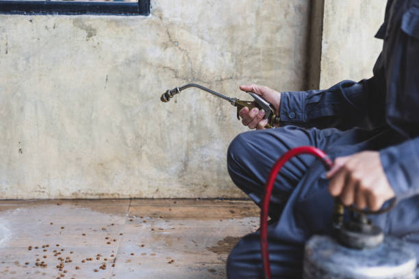 Best Exterminator Services  in Muncie, IN
