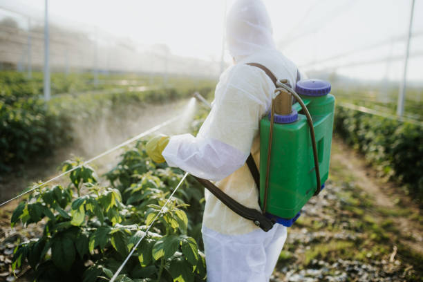 Best Pest Removal Services  in Muncie, IN